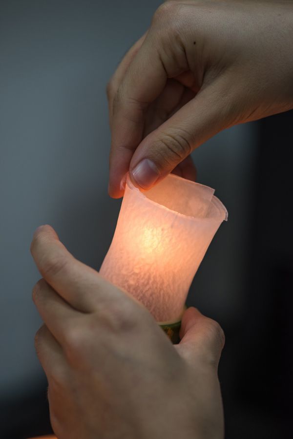 nguyen-ba-phuoc (8).jpg